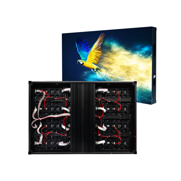 WN Series - Image 3